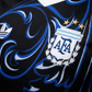 Argentina 2026 Away Jersey